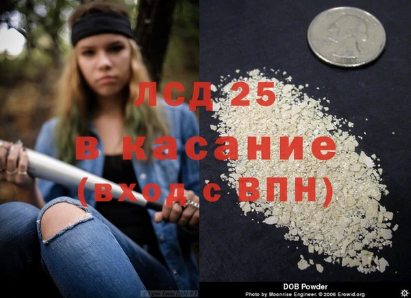 амф Алзамай