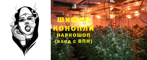 ПСИЛОЦИБИНОВЫЕ ГРИБЫ Алексин